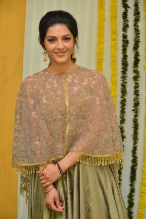 Gopichand 25 (aka) Gopichand 25 Movie