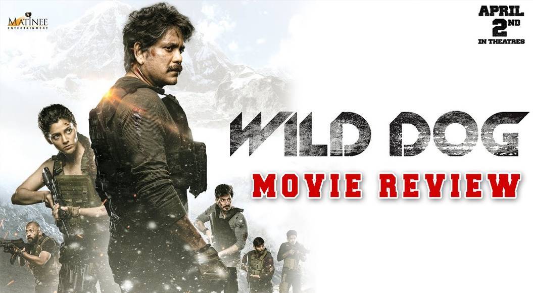wild dog review banner