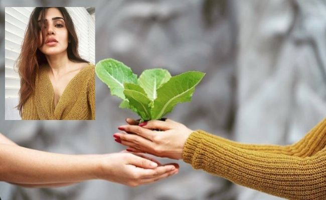 Samantha's latest video suggests she is a magician - Find out how