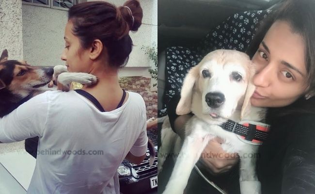 Actors and actresses with pets special photos ft Rashmika, Vijay Deverakonda, Keerthy Suresh
