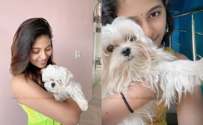 Actors and actresses with pets special photos ft Rashmika, Vijay Deverakonda, Keerthy Suresh