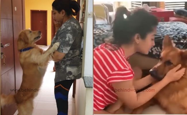 Actors and actresses with pets special photos ft Rashmika, Vijay Deverakonda, Keerthy Suresh