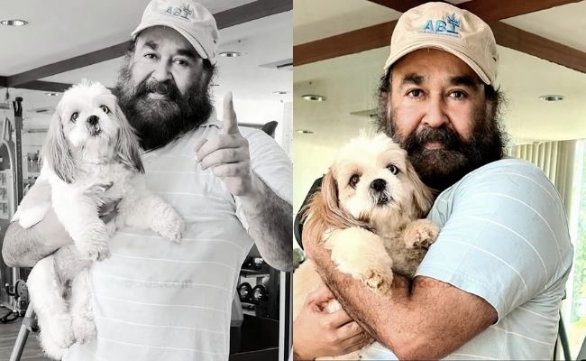 Actors and actresses with pets special photos ft Rashmika, Vijay Deverakonda, Keerthy Suresh