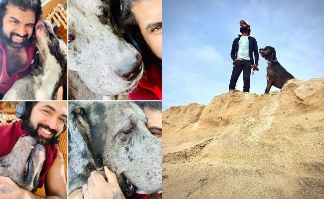 Actors and actresses with pets special photos ft Rashmika, Vijay Deverakonda, Keerthy Suresh