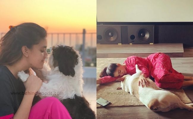 Actors and actresses with pets special photos ft Rashmika, Vijay Deverakonda, Keerthy Suresh
