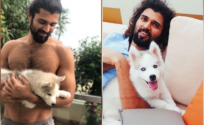 Actors and actresses with pets special photos ft Rashmika, Vijay Deverakonda, Keerthy Suresh