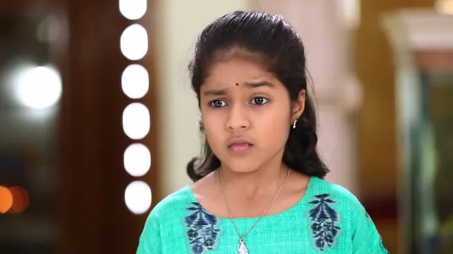 After 3 successful years, this popular Vijay TV serial to end; major twist revealed ft Mouna Raagam