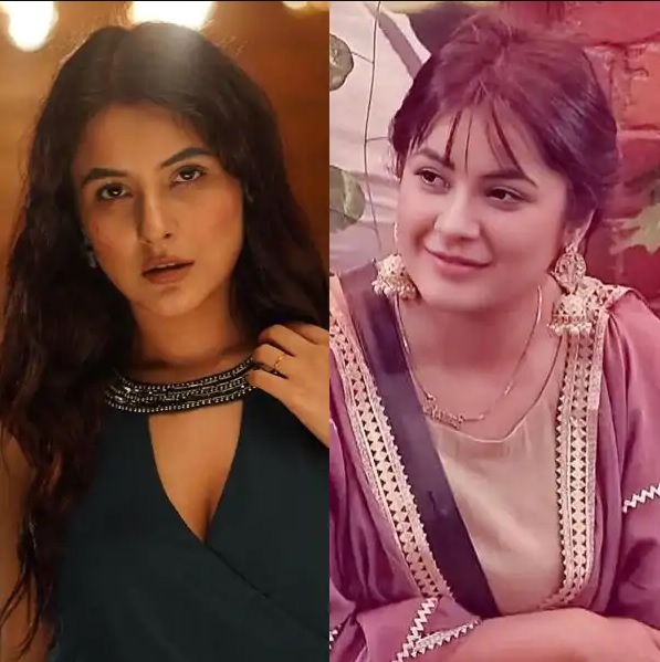 Popular Bigg Boss actress loses 12 kgs in 6 months as she was made fun of her weight in the show ft Shehnaaz Gill