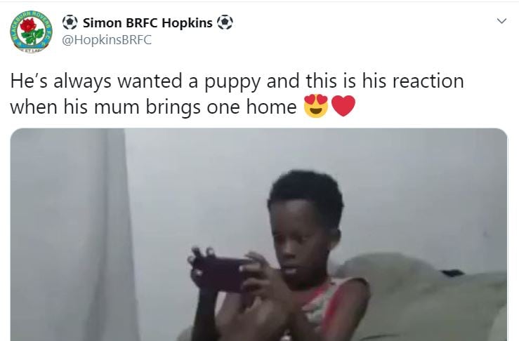 minor boys reaction goes viral when his mum brings puppy to home