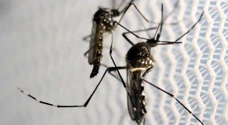 icmr warns india of another virus from china called cat que virus