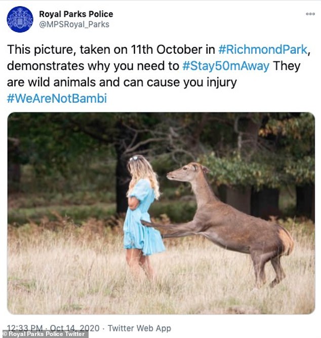 A deer attacked the woman posing for Instagram in Richmond Park