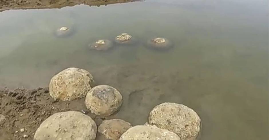 Dinosaur eggs found near Kunnam lake in Perambalur
