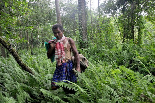 Forest man Jadav Payeng’s story finds place in US school curriculum