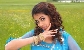 Genelia Hindi remake Santosh Subramanian Its My Life