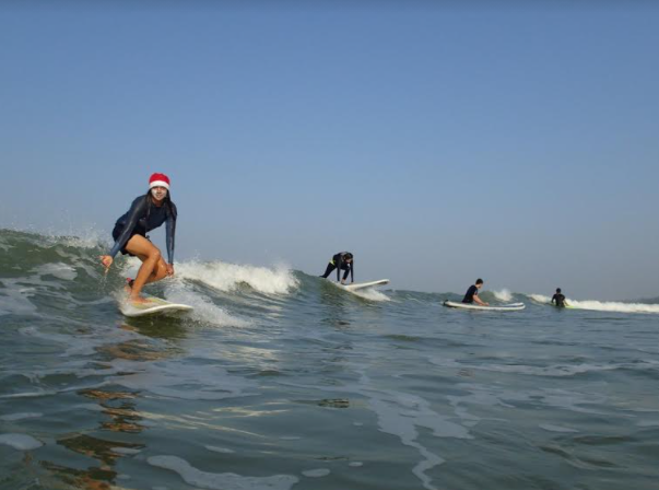 surfing federation of india announces new governing council