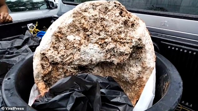 Thai fisherman finds the world's biggest blob of whale vomit