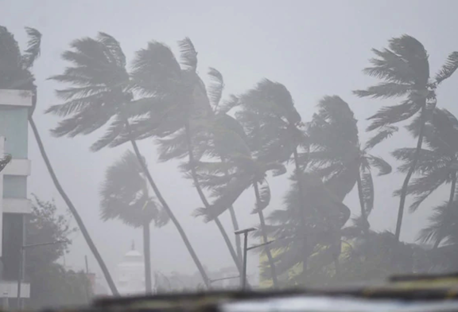 Cyclone Puravi IMD Issues Red Alert For TN Heavy Rain In 6 Districts