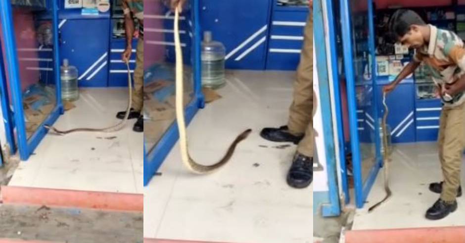 Snake inside the AC machine in cellphone shop near Poonamallee