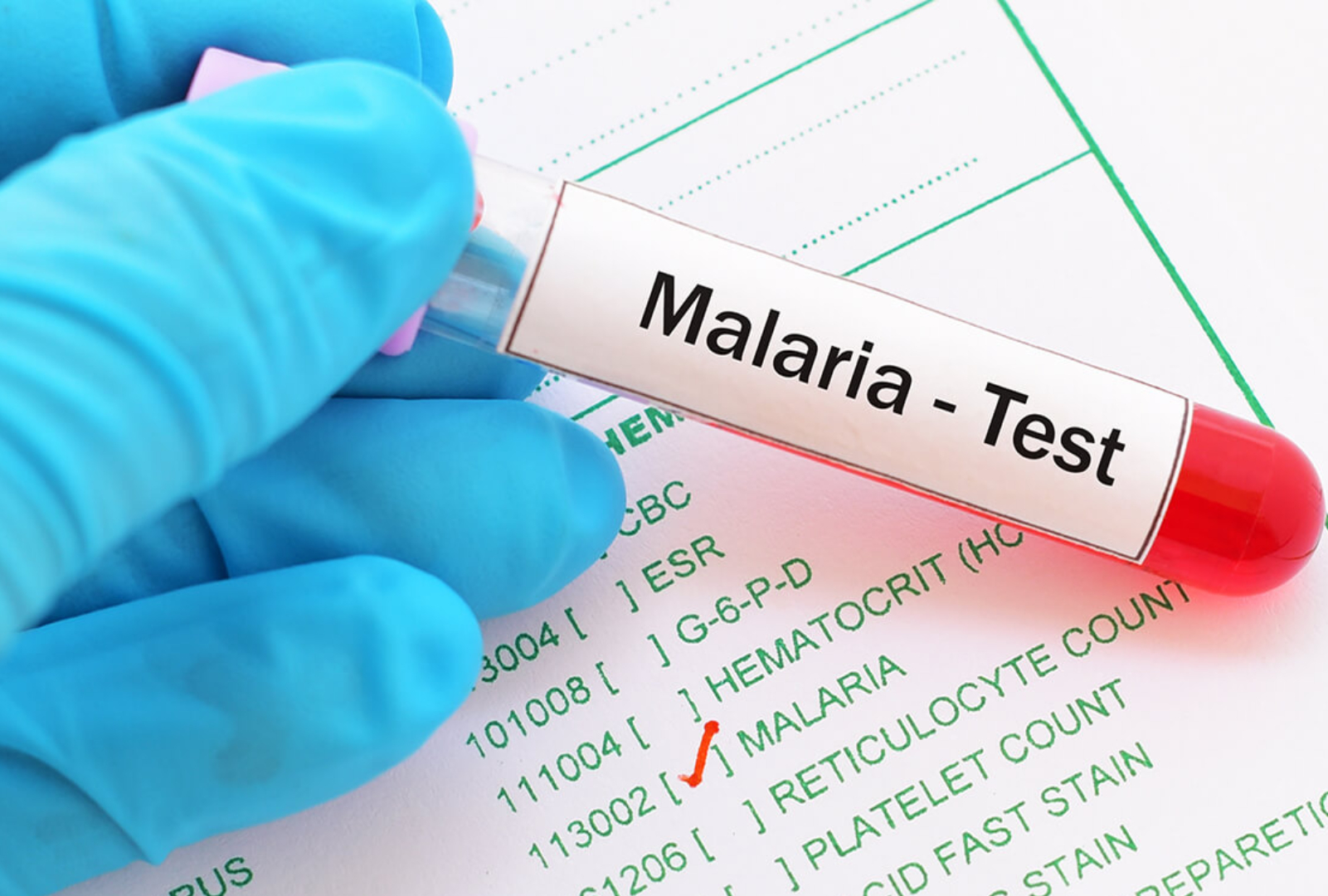 Rare Malaria Genus Plasmodium Ovale Reported In Kerala Amid Corona