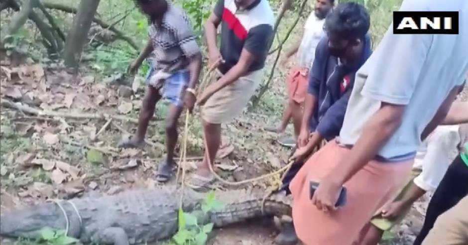 Crocodile enters house near Athirappilly in Kerala