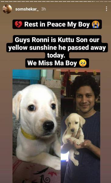 Heart-breaking news at Bigg Boss Tamil 4 Som Shekar's household, viral video