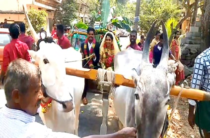 The couple got married in a cow cart in Kanyakumari