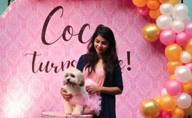 Celebrations at Cook with Comali Pavithra Lakshmi house