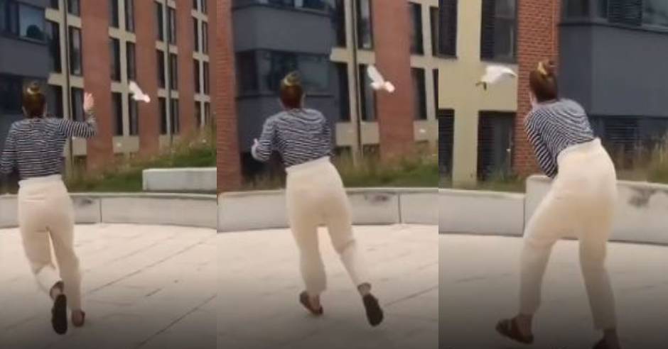 VIDEO: Bird flies away with woman's mobile goes viral