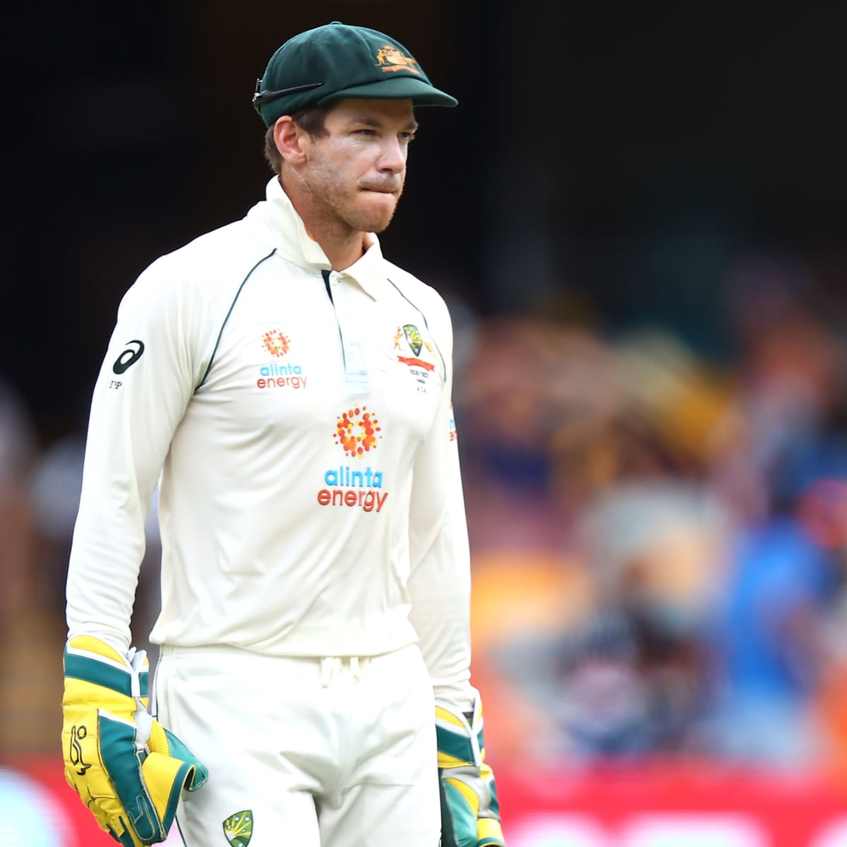 Tim Paine trolled after taking potshots at Team India for Gabba loss