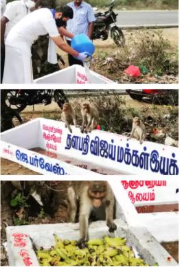Vijay Makkal Iyakkam folks help animals and birds