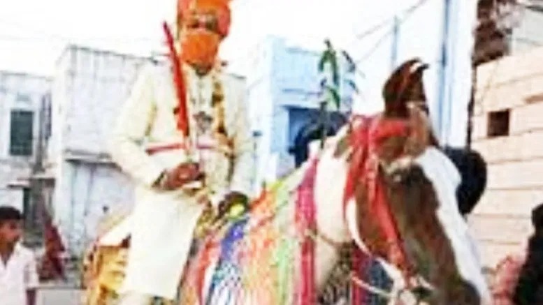 Dalit man seeks police protection, alleges threat against riding horse