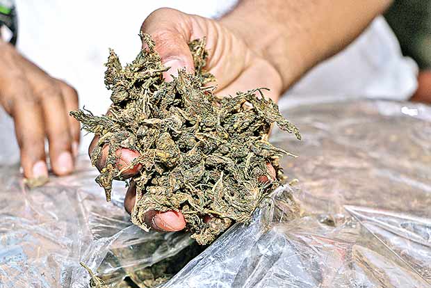 Coimbatore couple arrested for selling ganja
