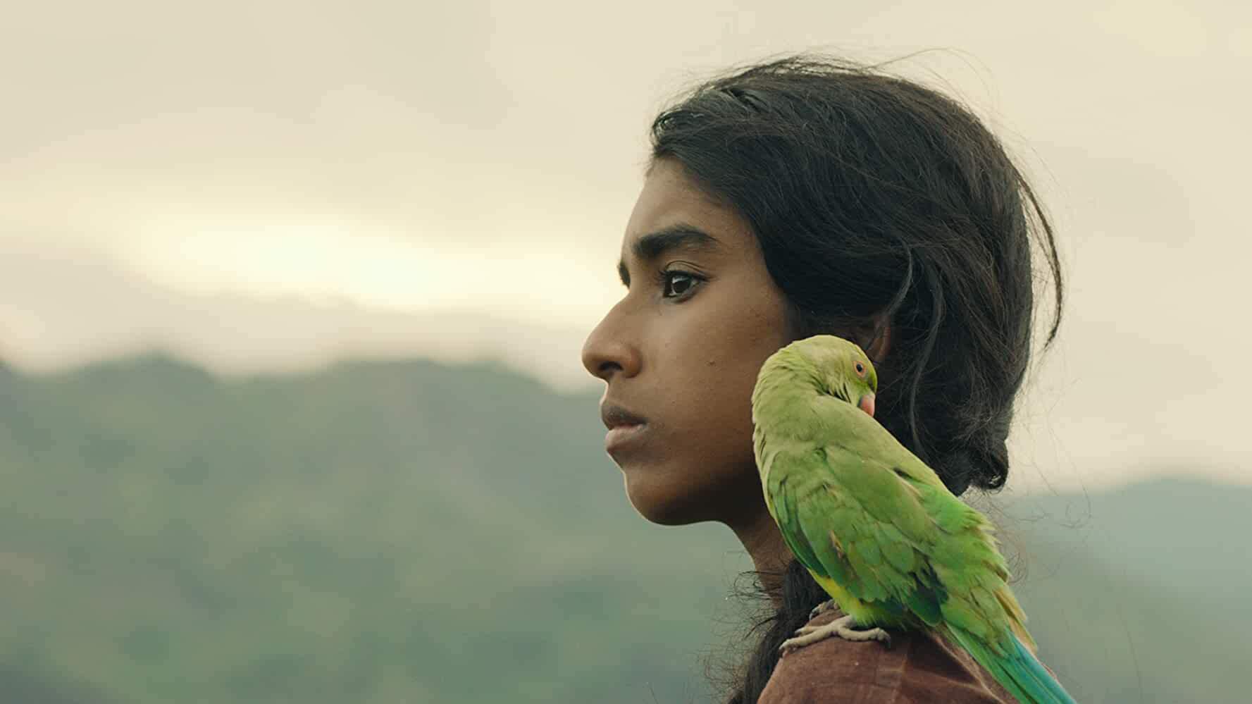 'Maadathy: An Unfairy Tale' trailer release: Leena Manimekalai talks on the making of the film - EXCLUSIVE