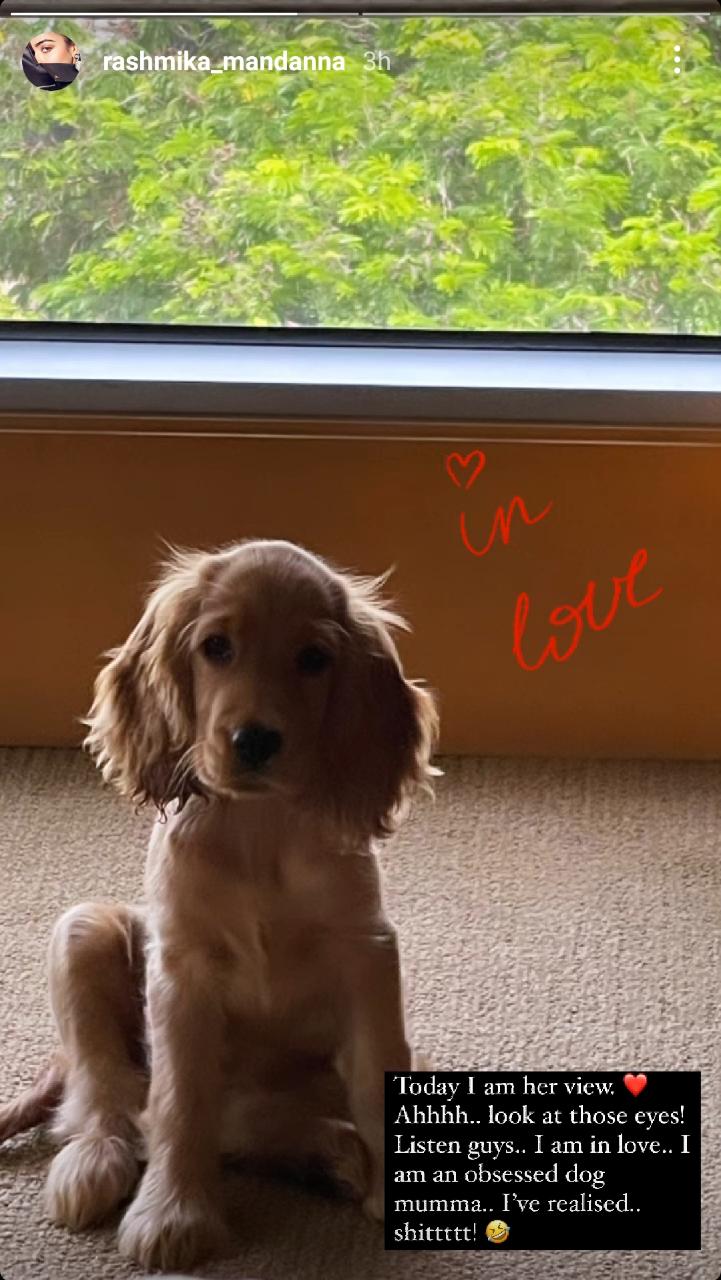 Rashmika Mandanna reveals that she's "in love"; check out the cutesy confession