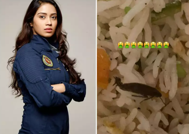 Nivetha Pethuraj found cockroach in online food viral post 
