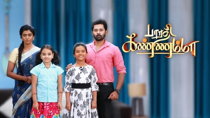 problems for bharathi kannamma serial akilan anjali characters