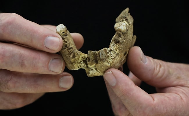 New Type Of Early Human Found In Israel