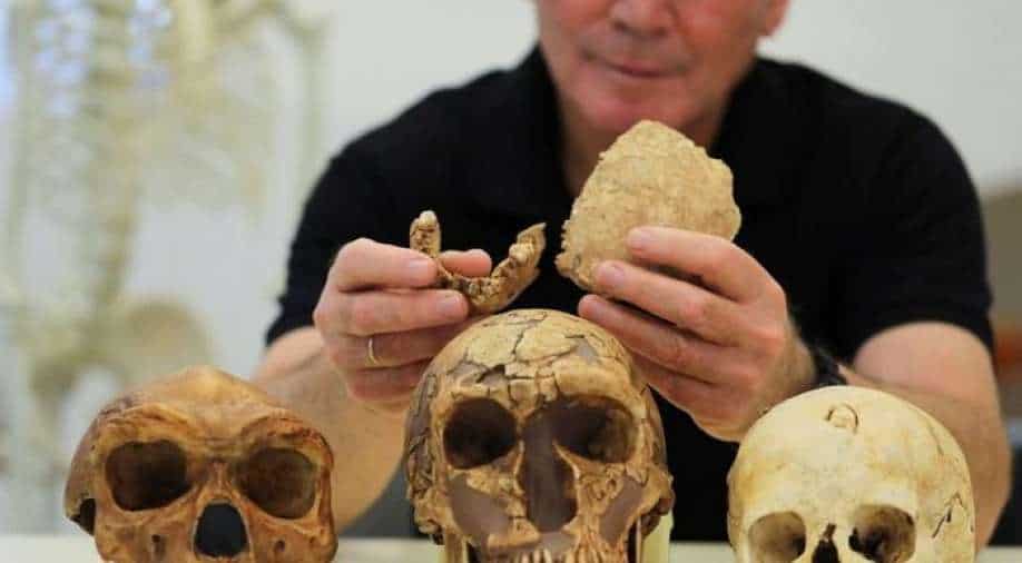 New Type Of Early Human Found In Israel