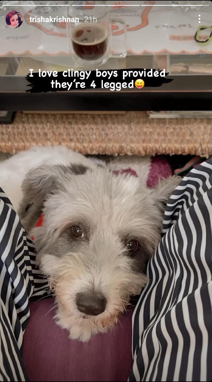 "I love clingy boys...": Trisha's new cheeky post raises eyebrows