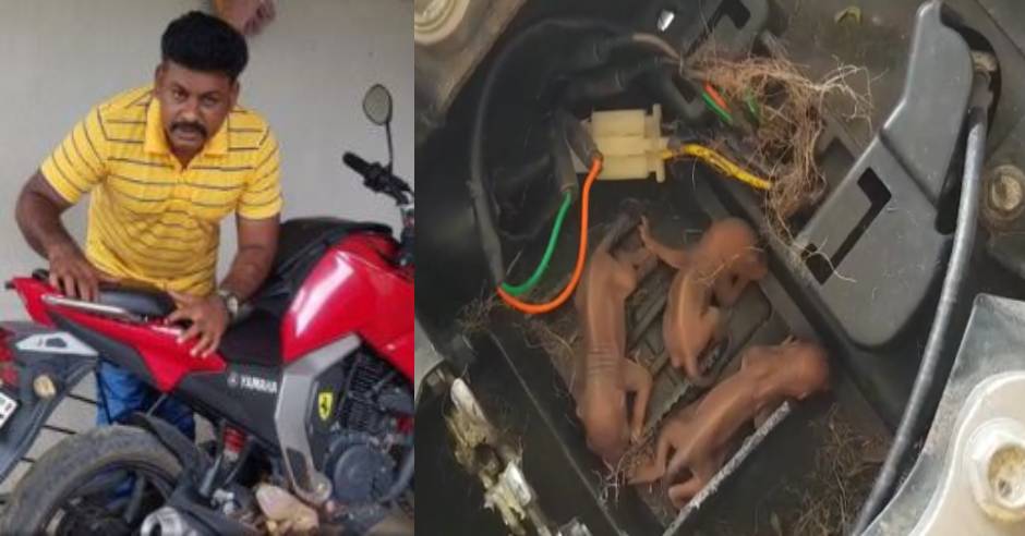 Madurai doctor has left his bike to put squirrel cub
