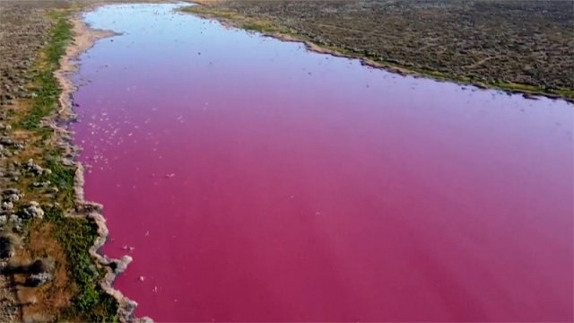 A lake in Argentina turned dark pink due mixing of waste.