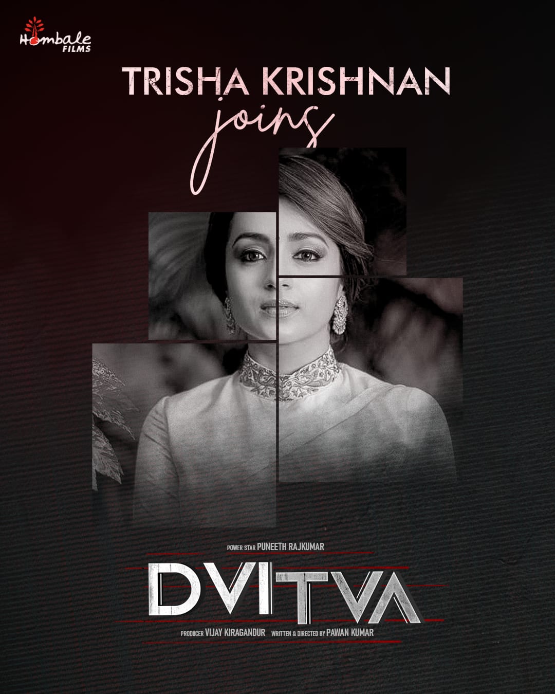 Trisha's next movie will be with this popular hero - announcement here