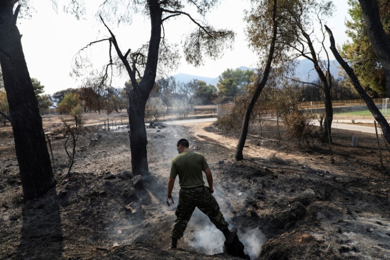 PM apologises as Greece counts costs of wildfire catastrophe