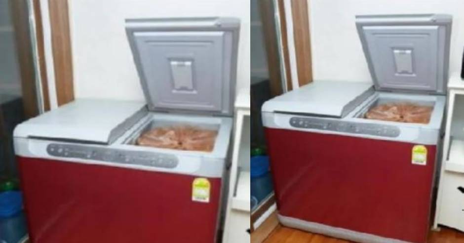 Second-hand fridge made a man millionaire overnight