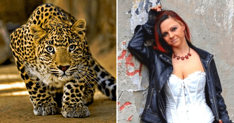 Model Attacked By Leopard In Photoshoot Gone Wrong
