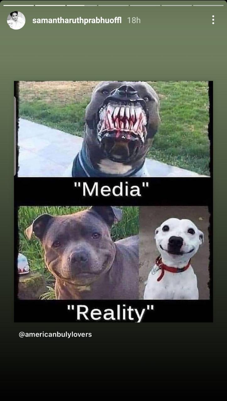 TRENDING: Samantha's latest sarcastic post about 'media reports' is taking internet by storm - What happened