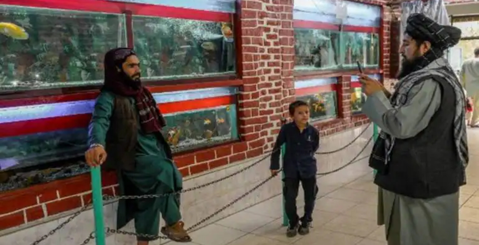 Taliban with guns mingle with families at Kabul zoo and viral pics