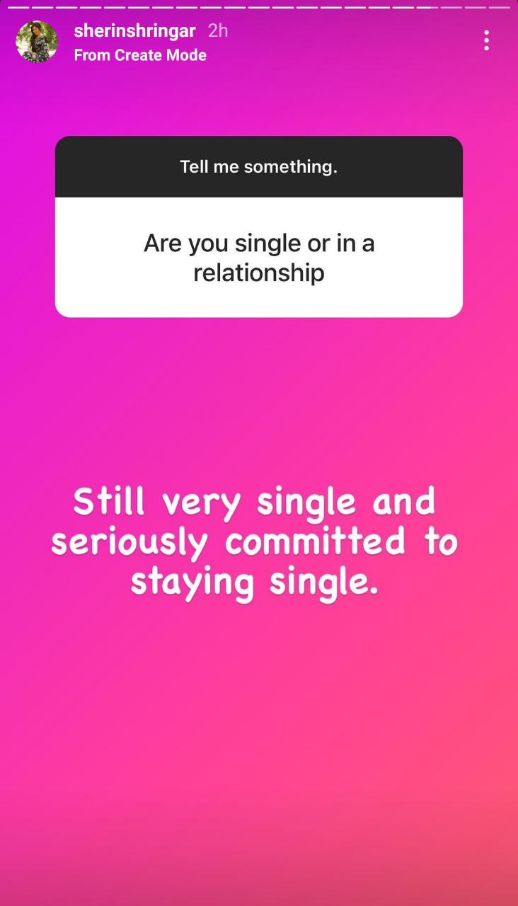 Wow what?! Sherin Shringar to do Whistle part two after 18 years? Here's what she said