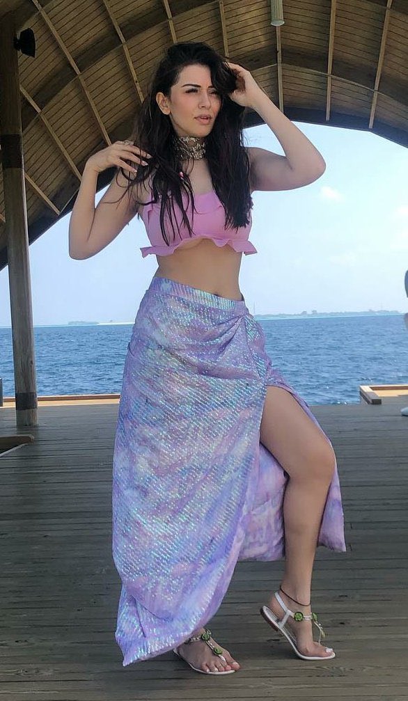 Rowdy Baby is back but with a big twist; popular actress bags the lead role ft Hansika Motwani, Vairamuthu