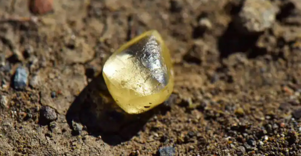 United States couple rare yellow diamond in a national park.